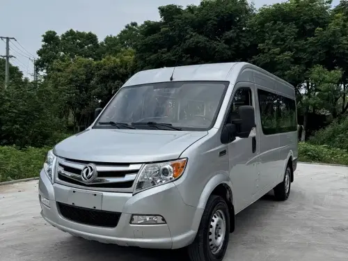 Dongfeng Yufeng, 2020