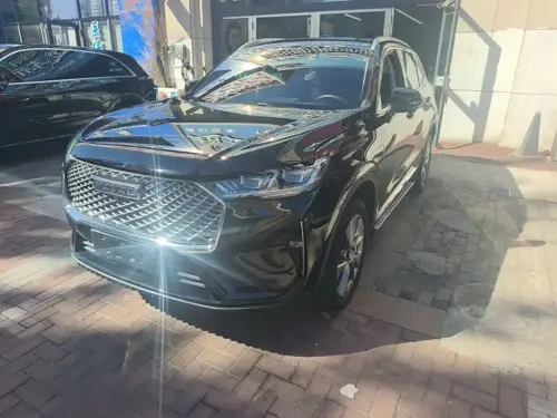 Haval H6, 2021