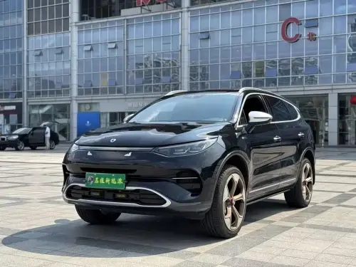 Denza X, 2021