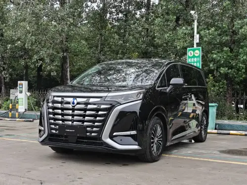 Denza D9, 2024
