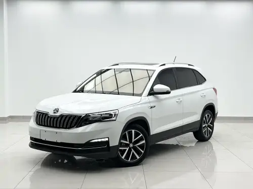 Skoda Kamiq, 2024
