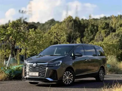 Buick GL8, 2022