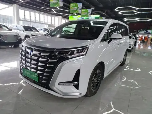 Denza D9, 2022