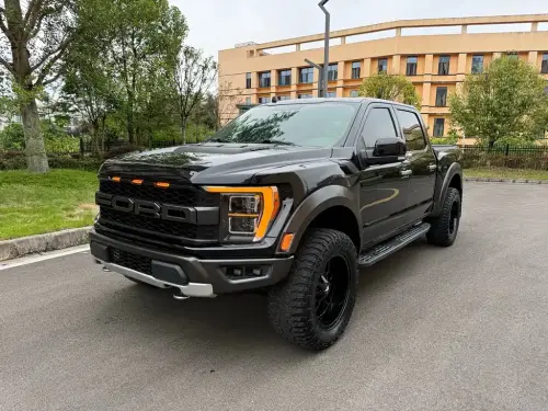 Ford F-150 Raptor, 2021