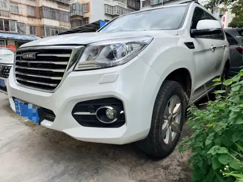 Haval H9, 2020