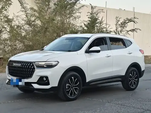 Haval H6, 2024