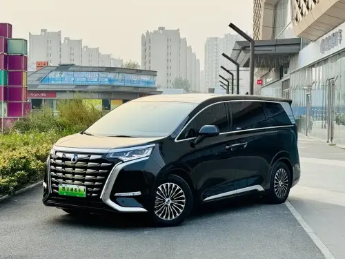 Denza D9, 2023