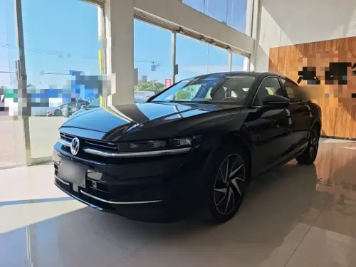 Volkswagen Magotan, 2024