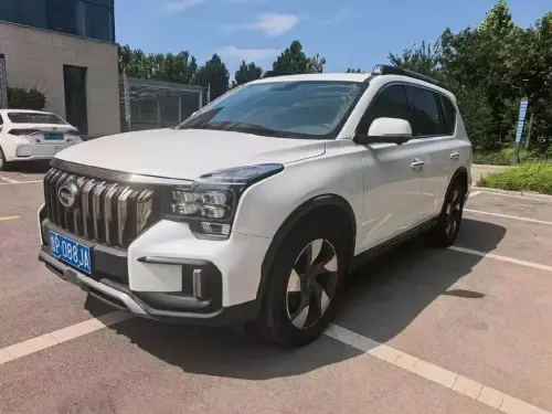 GAC GS8, 2020