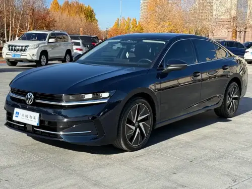 Volkswagen Magotan, 2024