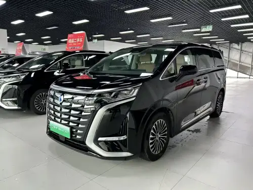 Denza D9, 2024