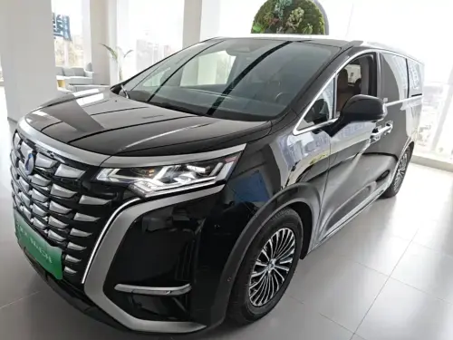 Denza D9, 2023