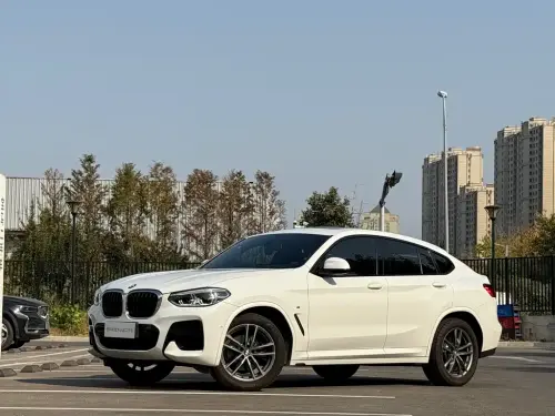 BMW X4, 2020