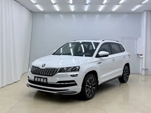 Skoda Karoq, 2024