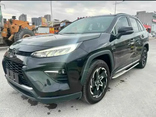 Toyota Wildlander, 2020