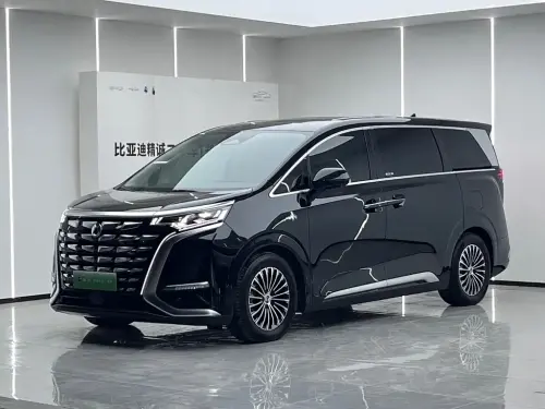 Denza D9, 2024