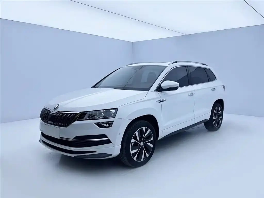 Skoda Karoq, 2024