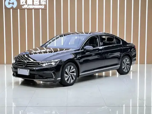 Volkswagen Magotan, 2022