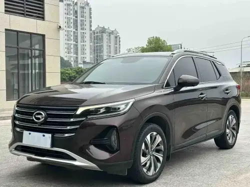 GAC GS4, 2020