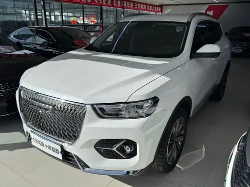 Haval H6, 2020