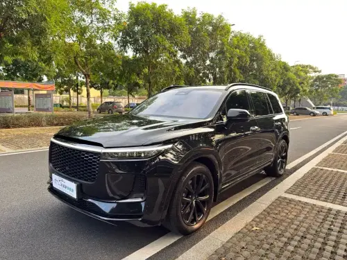 Li Auto ONE, 2021