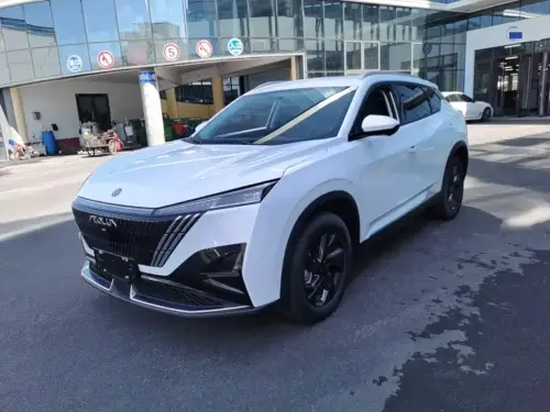 Dongfeng Haohan, 2025