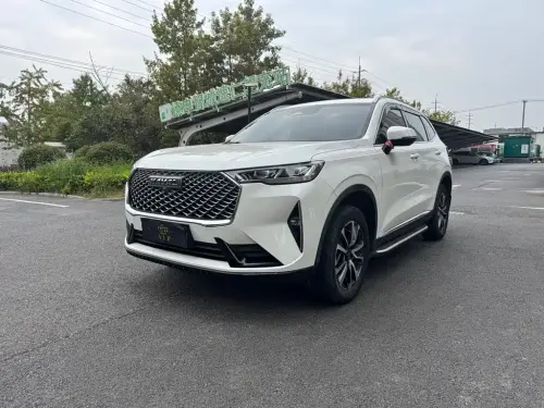 Haval H6, 2021