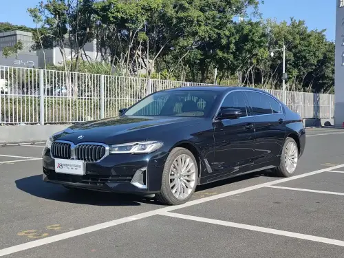 BMW 5-Series, 2021