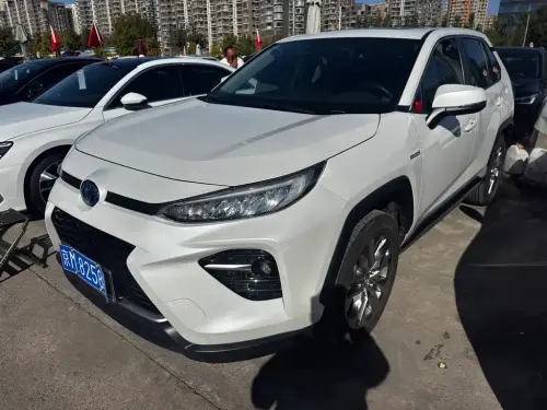 Toyota Wildlander, 2022