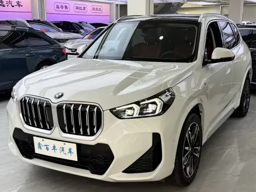 BMW X1, 2024
