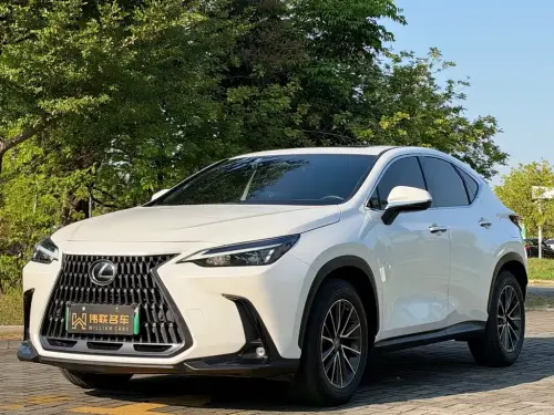 Lexus NX, 2022
