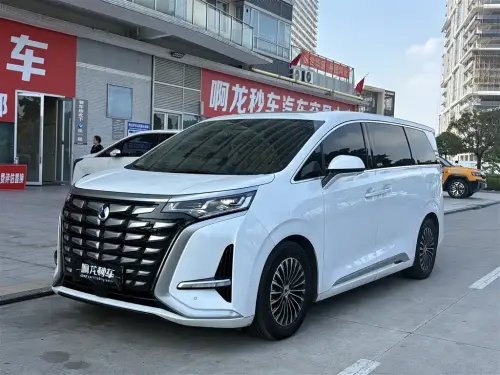 Denza D9, 2024