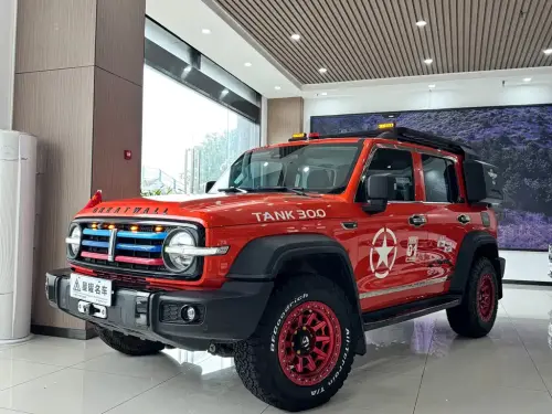 Tank 300, 2021