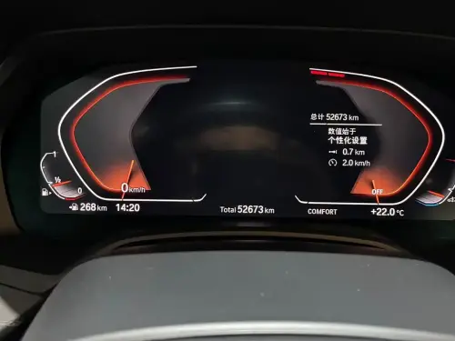 BMW X7, 2022