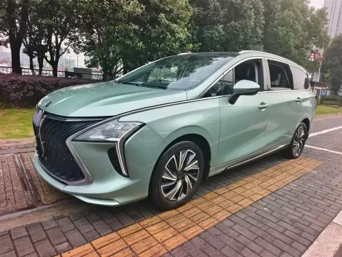 Dongfeng Youth, 2022