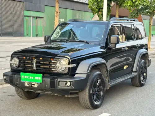 Tank 300, 2021