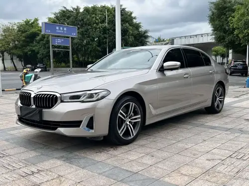 BMW 5-Series, 2020