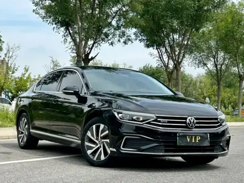 Volkswagen Magotan, 2024