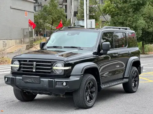 Tank 300, 2021