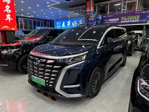 Denza D9, 2023