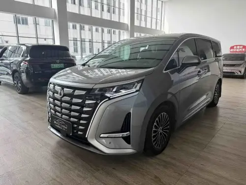 Denza D9, 2023