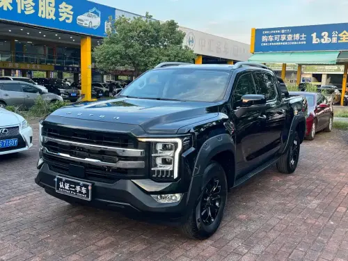 Foton Mars, 2025