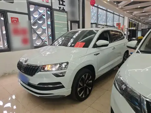 Skoda Karoq, 2024