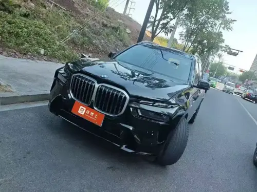 BMW X7, 2023