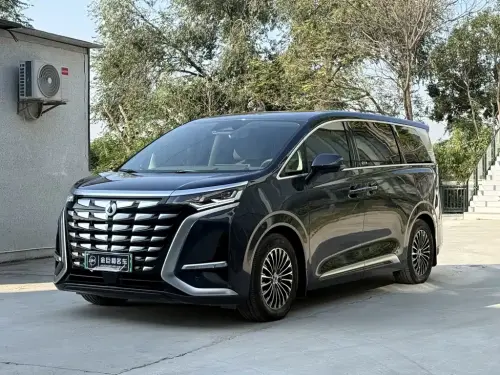 Denza D9, 2023