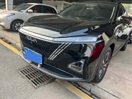 Dongfeng Haohan, 2024