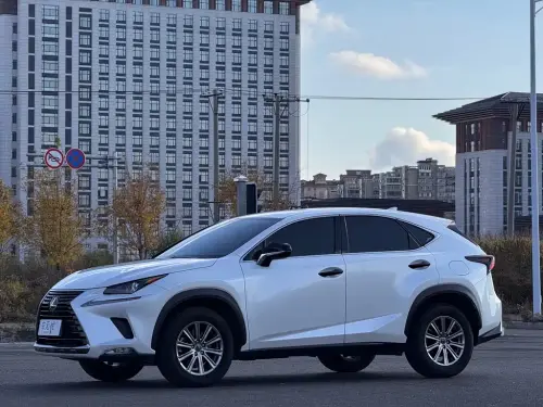 Lexus NX, 2020