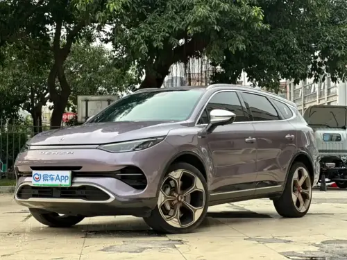 Denza X, 2021