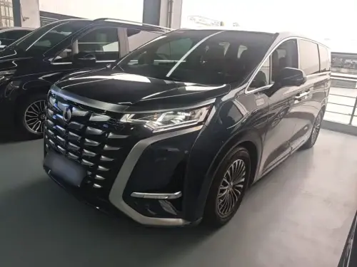 Denza D9, 2024