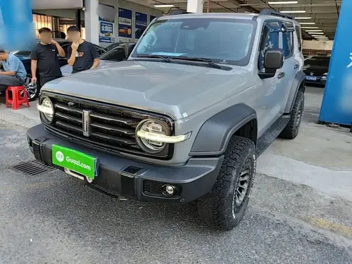 Tank 300, 2021